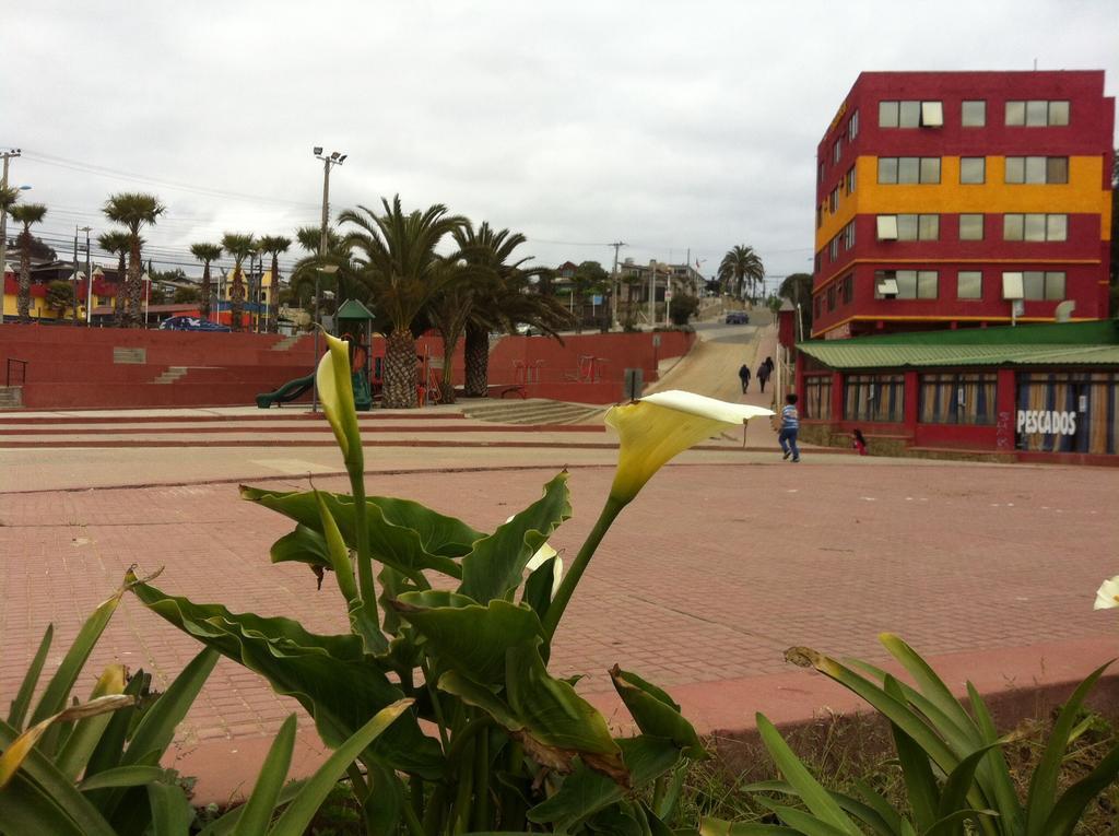 Cabanas La Del Mar Aparthotel Valparaíso